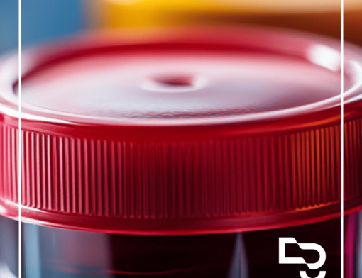 Dissertação argumentativa