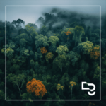 Dissertação argumentativa