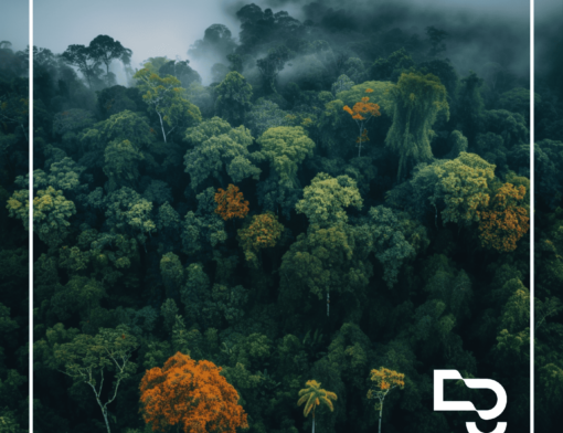 Dissertação argumentativa